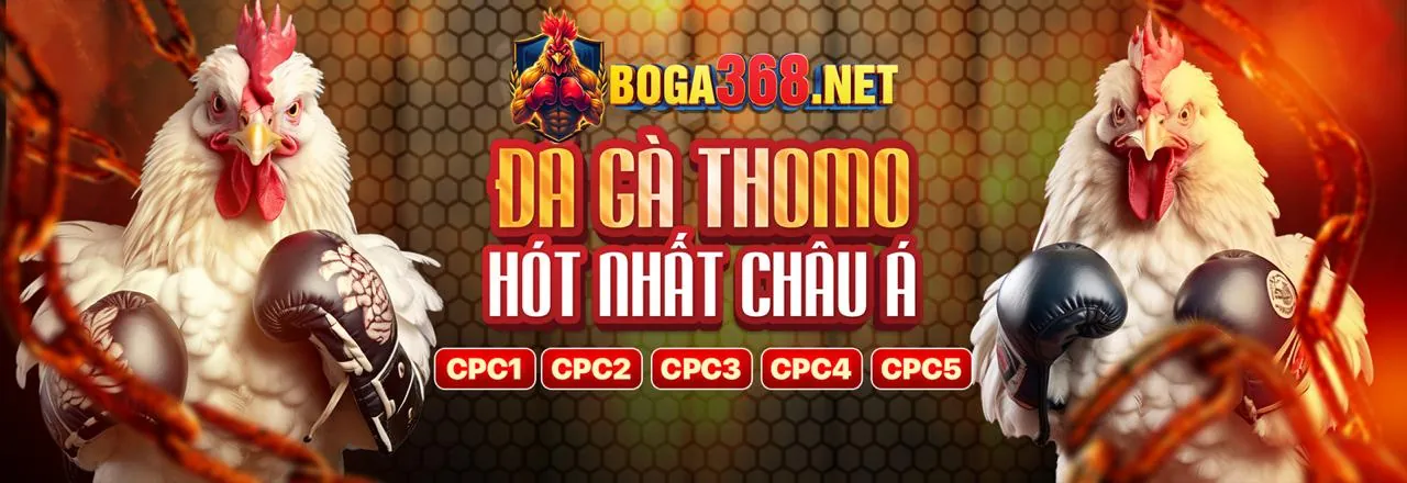 Hình ảnh tổng quan về chiến lược casino trực tuyến tại v9bet chính thức
